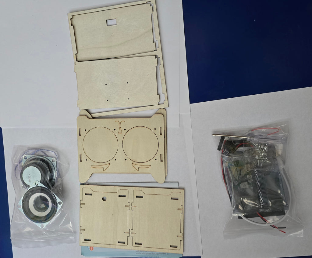 STEM Projects for Kids & Adults DIY Bluetooth Speaker