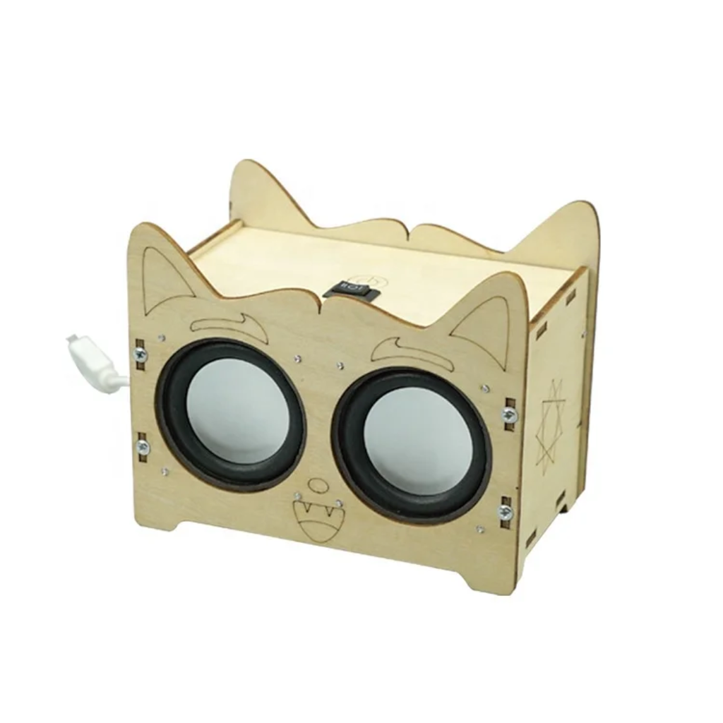 STEM Projects for Kids & Adults DIY Bluetooth Speaker